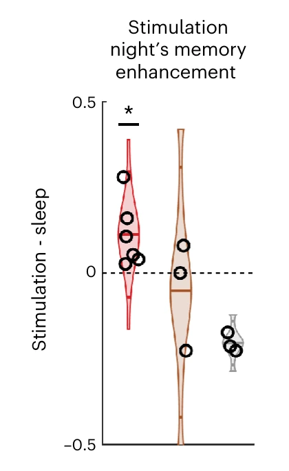 Violin and dot plot of each participant&rsquo;s change in recognition accuracy, stimulation night minus undisturbed night. The six participants with synchronized prefrontal stimulation (red) all sit above zero; synchronized stimulation elsewhere (brown) is mixed; the three mixed-phase participants (gray) all sit below zero.